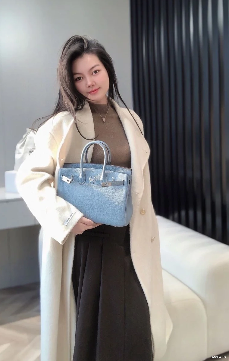 Birkin Bags Hermes Popular 48980 0702